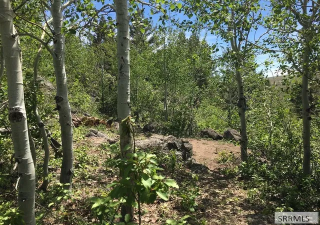 4th image of Na Idmon Road, Spencer, ID 83446 | MLS# 2182233