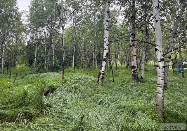 2nd image of 3880 North Shore Lane, Island Park, ID 83429 | MLS# 2187404