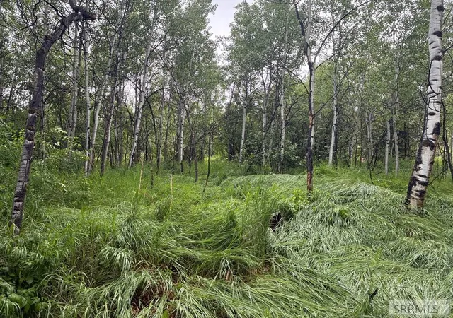 3rd image of 3880 North Shore Lane, Island Park, ID 83429 | MLS# 2187404