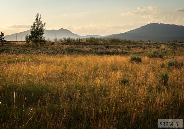 Photo 1 of Land for sale at Lot 38 Eagles View Road, Island Park, ID 83429 | MLS# 2188368 | Listing updated on 2026-08-06