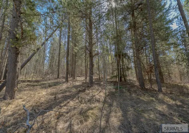 2nd image of 4374 Madeline Trail, Ashton, ID 83420 | MLS# 2185485