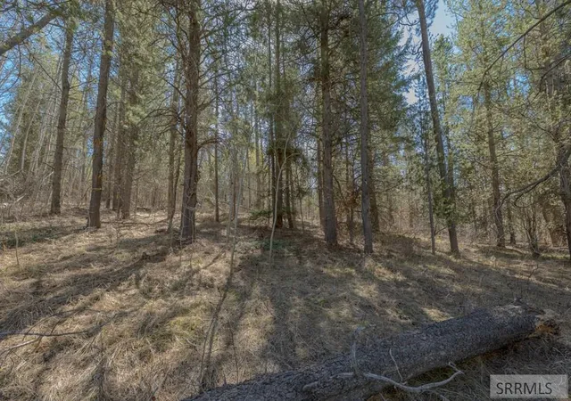 3rd image of 4374 Madeline Trail, Ashton, ID 83420 | MLS# 2185485