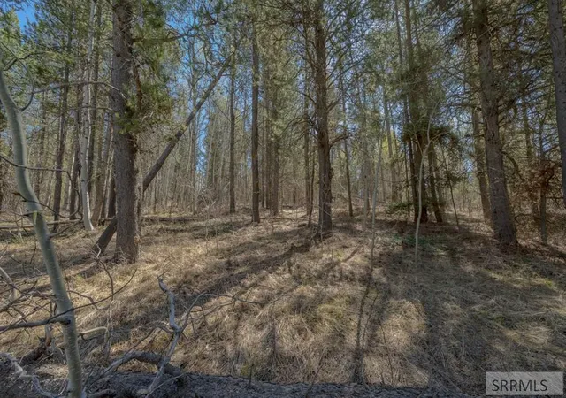 4th image of 4374 Madeline Trail, Ashton, ID 83420 | MLS# 2185485