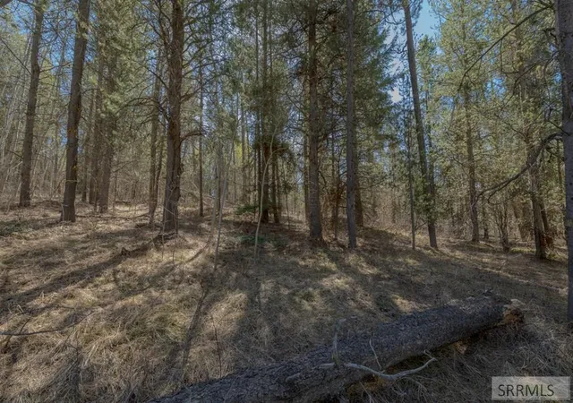 5th image of 4374 Madeline Trail, Ashton, ID 83420 | MLS# 2185485