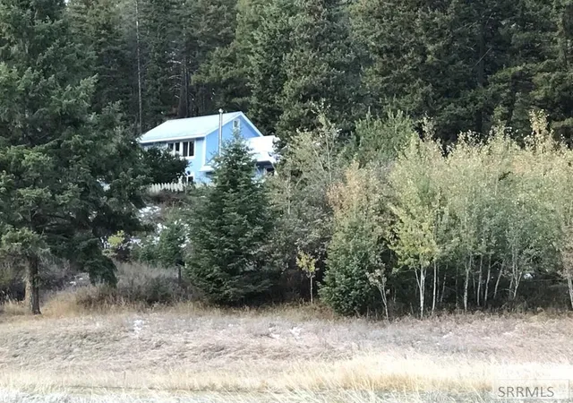 31st image of 2209 Panther Creek Road, Salmon, ID 83467 | MLS# 2187220
