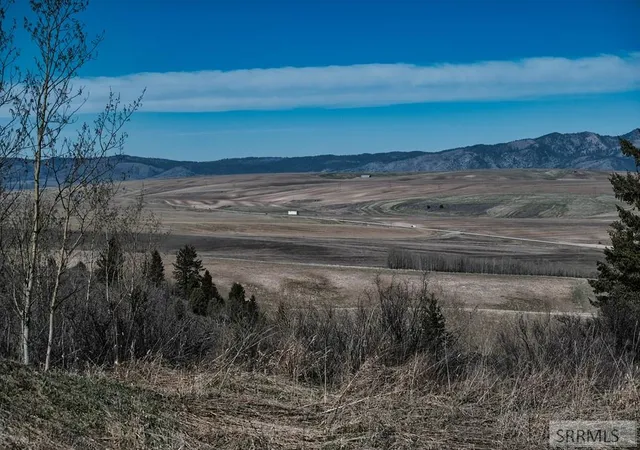 Homes for sale in Swan Valley, ID | Tbd Wagon Road, Swan Valley, ID 83449 | MLS# 2185457
