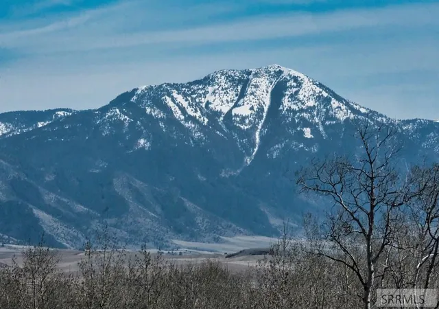Homes for sale in Swan Valley, ID | Tbd Wagon Road, Swan Valley, ID 83449 | MLS# 2185457