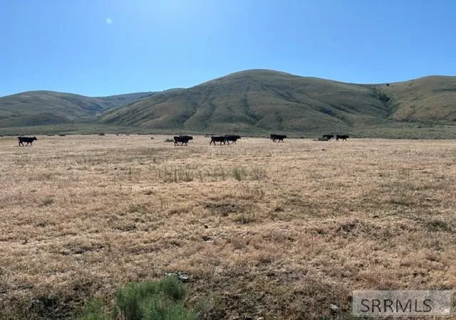 4th image of 0 Tbd, Tendoy, ID 83468 | MLS# 2187201