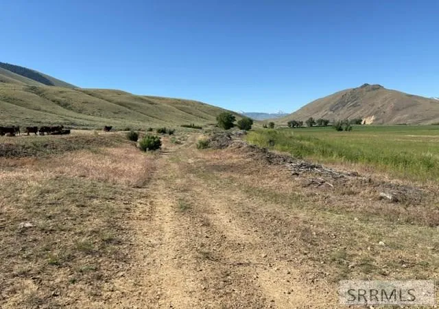5th image of 0 Tbd, Tendoy, ID 83468 | MLS# 2187201
