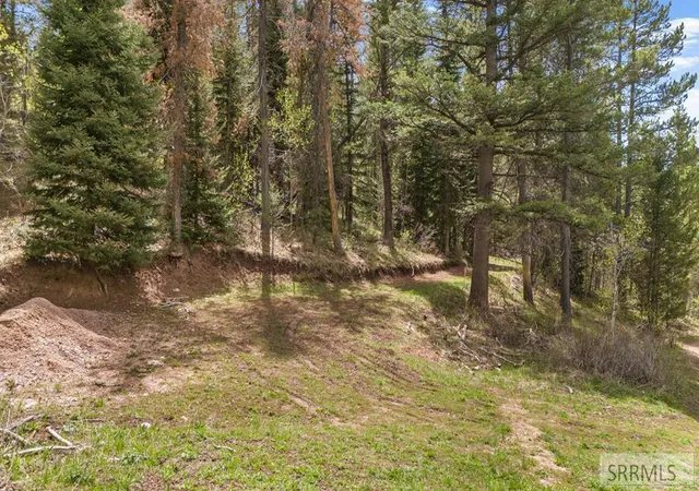 1st image of Tbd Sellers Creek Road, Shelley, ID 83274 | MLS# 2187692