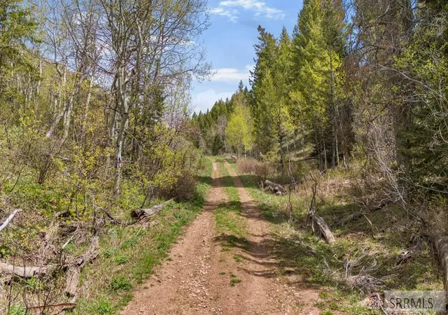 4th image of Tbd Sellers Creek Road, Shelley, ID 83274 | MLS# 2187692