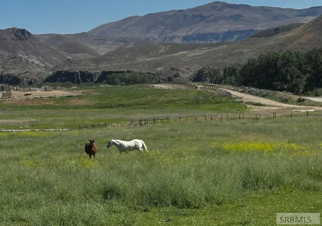 2nd image of #6 Homestead Trail, Challis, ID 83226 | MLS# 2187714