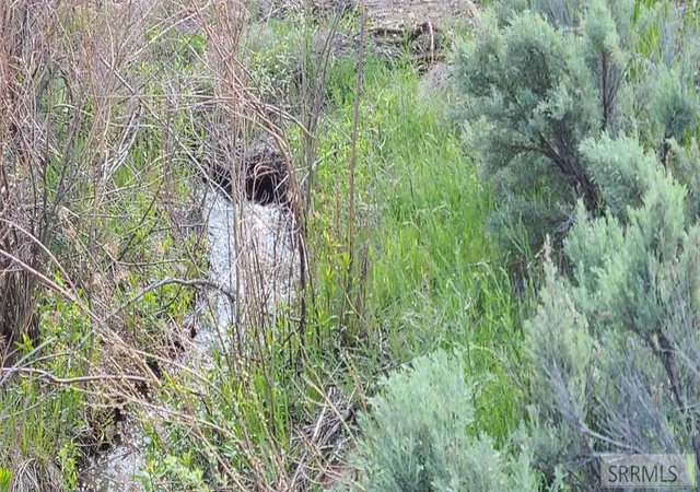 5th image of #6 Homestead Trail, Challis, ID 83226 | MLS# 2187714