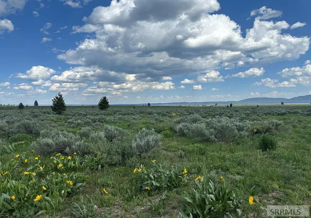1st image of 4042 Brooks Blaze Lane, Island Park, ID 83429 | MLS# 2185509