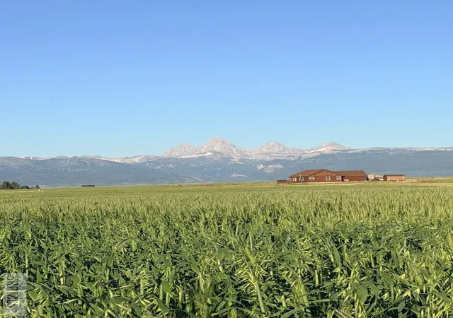 2nd image of 8894 West Ridge Road, Tetonia, ID 83452 | MLS# 2187573