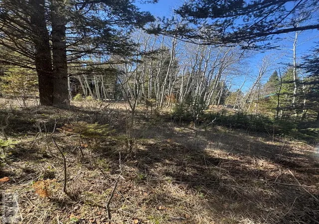 Photo 3 of Sale Pending at 4788 Balsam Street, Island Park, ID 83429 | MLS# 2188793 | Listing updated on 2026-10-02