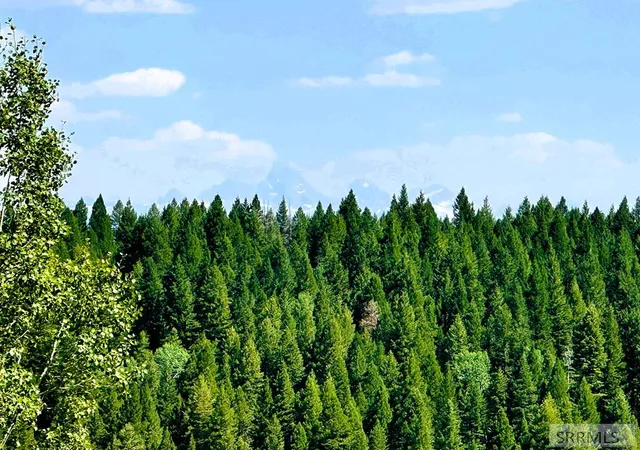 Photo 3 of Land for sale at 1650 Renegade Fly Dr, Ashton, ID 83429 | MLS# 2184888 | Listing updated on 2026-08-11