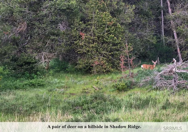 36th image of 4387 E Granite Ridge North, Ashton, ID 83420 | MLS# 2184996