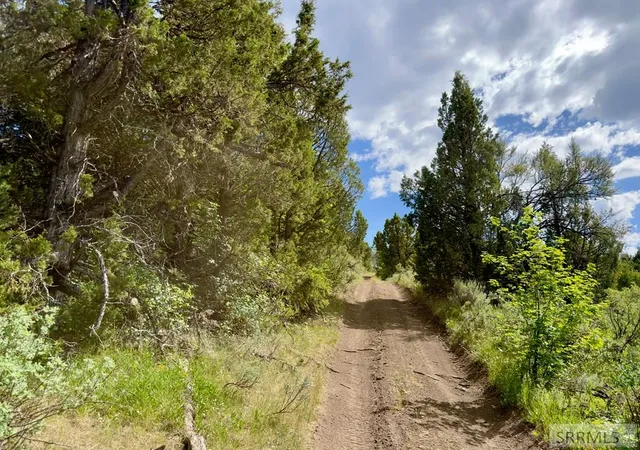 Homes for sale in Lava Hot Springs, ID | Tbd Fish Creek Road, Lava Hot Springs, ID 83246 | MLS# 2186270