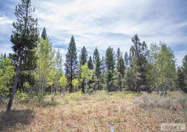 Photo 1 of Land for sale at 2819 Ne Sagehen Dr, Island Park, ID 83429 | MLS# 2186501 | Listing updated on 2026-05-21