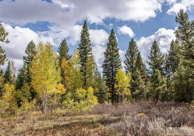 Photo 2 of Land for sale at 2819 Ne Sagehen Dr, Island Park, ID 83429 | MLS# 2186501 | Listing updated on 2026-05-21