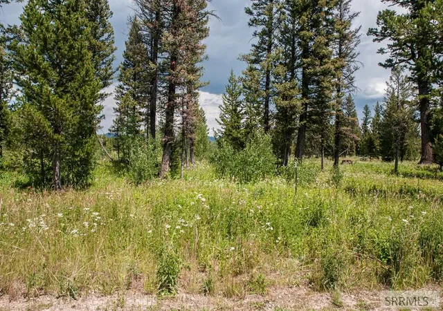 Photo 3 of Land for sale at 2819 Ne Sagehen Dr, Island Park, ID 83429 | MLS# 2186501 | Listing updated on 2026-05-21