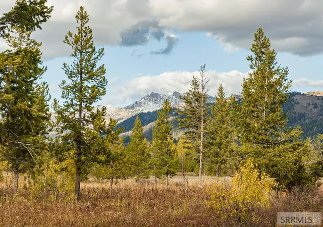 Photo 3 of Land for sale at 2819 Ne Sagehen Dr, Island Park, ID 83429 | MLS# 2186501 | Listing updated on 2026-05-21