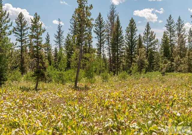 Photo 4 of Land for sale at 2819 Ne Sagehen Dr, Island Park, ID 83429 | MLS# 2186501 | Listing updated on 2026-05-21