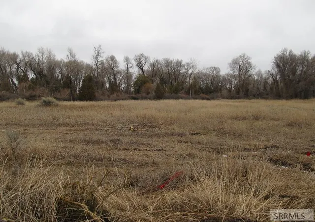 3rd image of 4625 E 200 N, Rigby, ID 83442 | MLS# 2182036