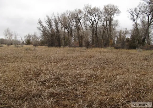 7th image of 4625 E 200 N, Rigby, ID 83442 | MLS# 2182036