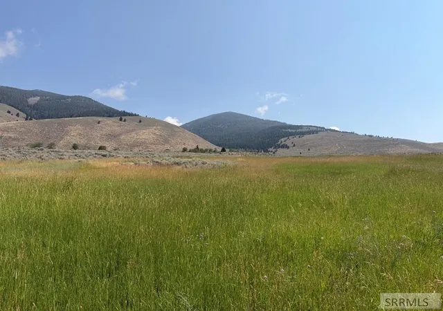 Photo 3 of Land for sale at Nka E Sandy Creek Road, Salmon, ID 83467 | MLS# 2188193 | Listing updated on 2026-09-01