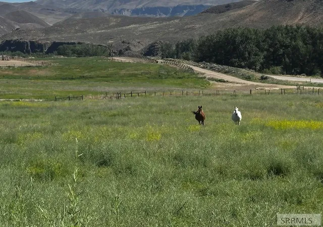 3rd image of #5 Homestead Trail, Challis, ID 83226 | MLS# 2187713