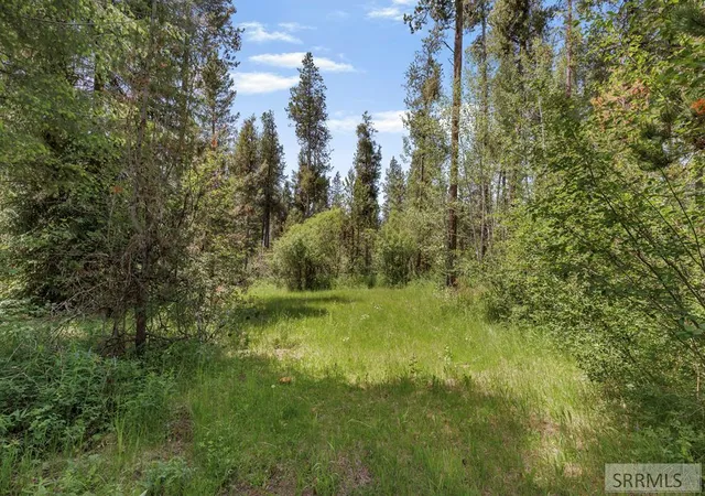 Photo 3 of Land for sale at 1597 Annies Landing, Ashton, ID 83420 | MLS# 2187169 | Listing updated on 2026-06-18