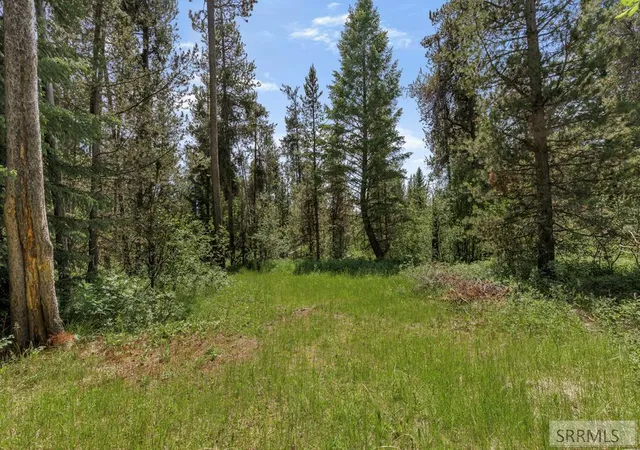 Photo 4 of Land for sale at 1597 Annies Landing, Ashton, ID 83420 | MLS# 2187169 | Listing updated on 2026-06-18