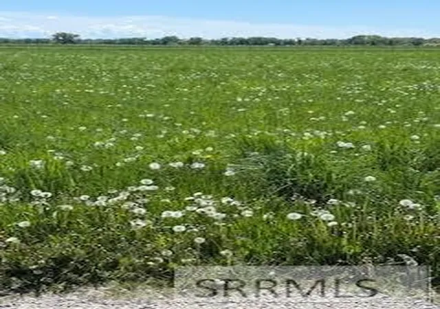 Homes for sale in Rexburg, ID | 2157 W 6450 S, Rexburg, ID 83440 | MLS# 2185777