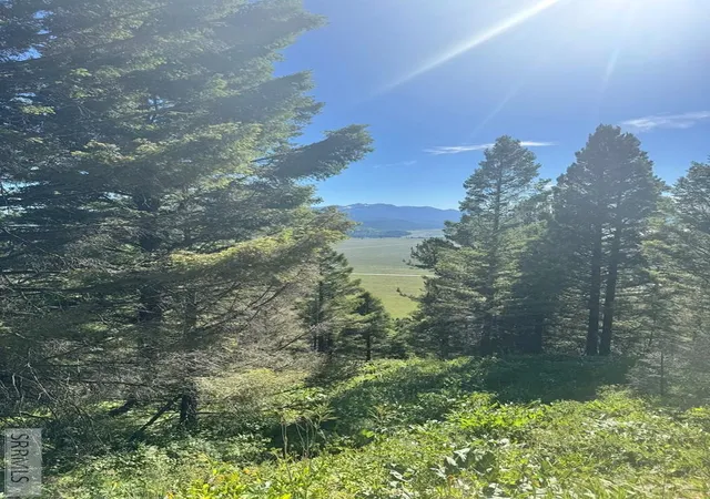 Photo 2 of Land for sale at Tbd Strobel Dr, Island Park, ID 83429 | MLS# 2187842 | Listing updated on 2026-08-19
