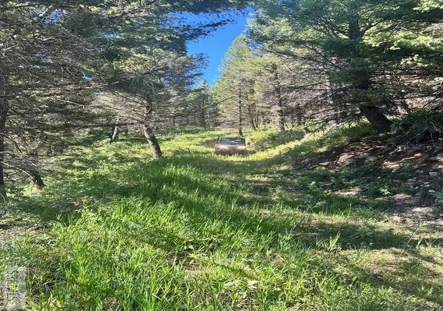 Photo 3 of Land for sale at Tbd Strobel Dr, Island Park, ID 83429 | MLS# 2187842 | Listing updated on 2026-08-19