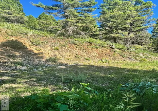 Photo 4 of Land for sale at Tbd Strobel Dr, Island Park, ID 83429 | MLS# 2187842 | Listing updated on 2026-08-19