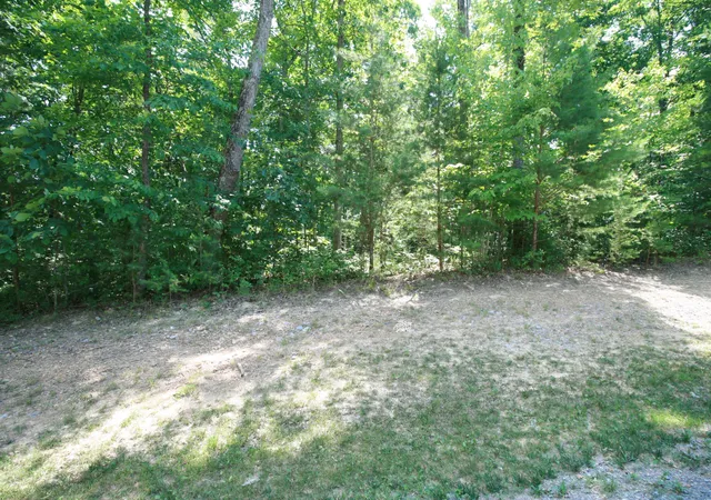 Homes for sale in Dunlap, TN | 0 Wilderness Way #548, Dunlap, TN 37327 | MLS# 1358265