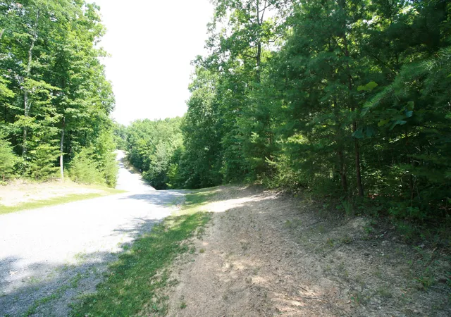 Homes for sale in Dunlap, TN | 0 Wilderness Way #548, Dunlap, TN 37327 | MLS# 1358265