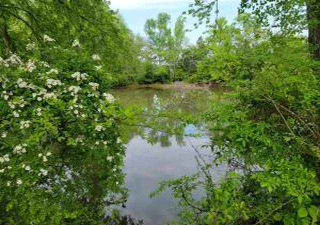 3rd image of 00 Scoggins Ln, Dayton, TN 37321 | MLS# 1391123