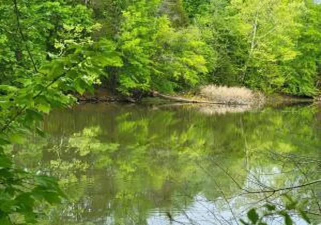5th image of 00 Scoggins Ln, Dayton, TN 37321 | MLS# 1391123
