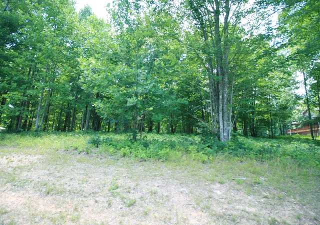 Photo 3 of Land for sale at 0 Turkey Trl Trl, Dunlap, TN 37327 | MLS# 1358711 | Listing updated on 2026-09-29