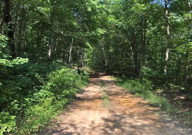 Photo 3 of Sale Pending at 026 Dogwood Flat Rd, Pikeville, TN 37367 | MLS# 1341869 | Listing updated on 2024-09-12