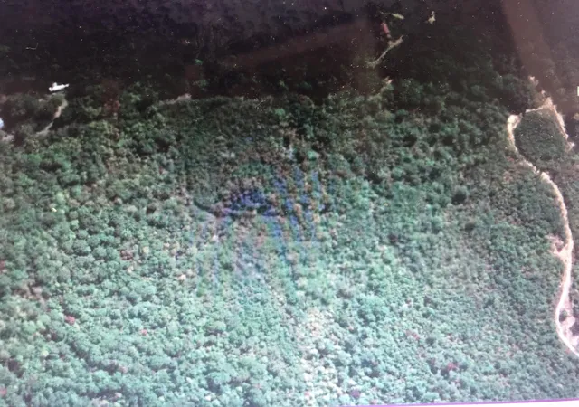 2nd image of 3 Lusk Loop Rd, Pikeville, TN 37367 | MLS# 1344720