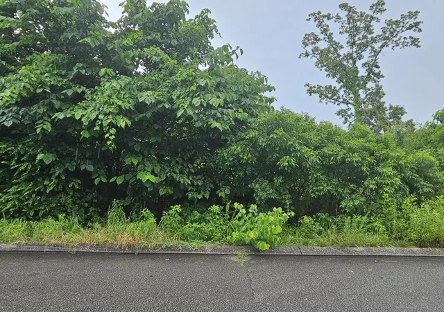 Photo 1 of Sale Pending at 10166 Hunters Hollow Dr #23, Soddy Daisy, TN 37379 | MLS# 1375164 | Listing updated on 2024-09-10