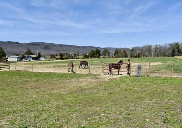 11th image of 20092 Old State Hwy 28, Pikeville, TN 37367 | MLS# 1389953