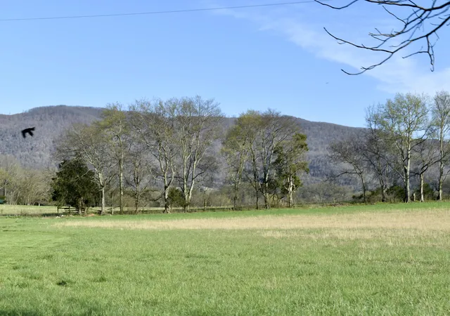 2nd image of 20092 Old State Hwy 28, Pikeville, TN 37367 | MLS# 1389953
