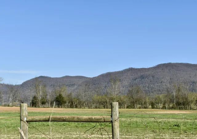 3rd image of 20092 Old State Hwy 28, Pikeville, TN 37367 | MLS# 1389953