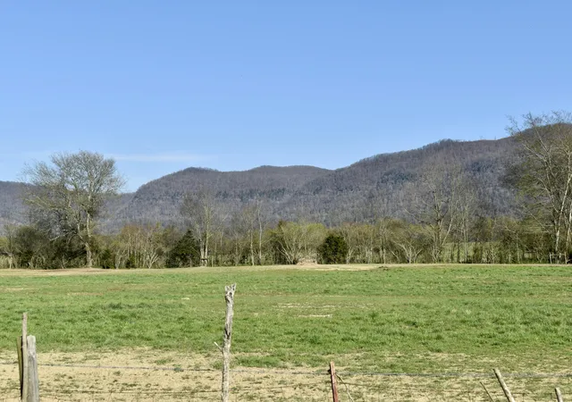 4th image of 20092 Old State Hwy 28, Pikeville, TN 37367 | MLS# 1389953